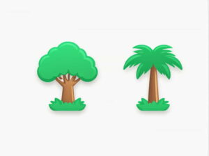 Compare And Contrast Temperate And Tropical Rainforests