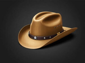 Us Army Cavalry Stetson For Sale