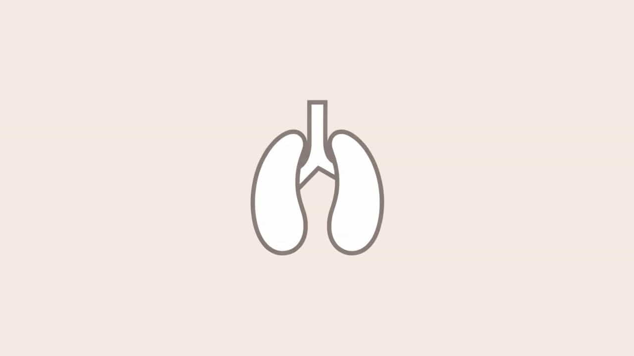 Organ Living Or Nonliving